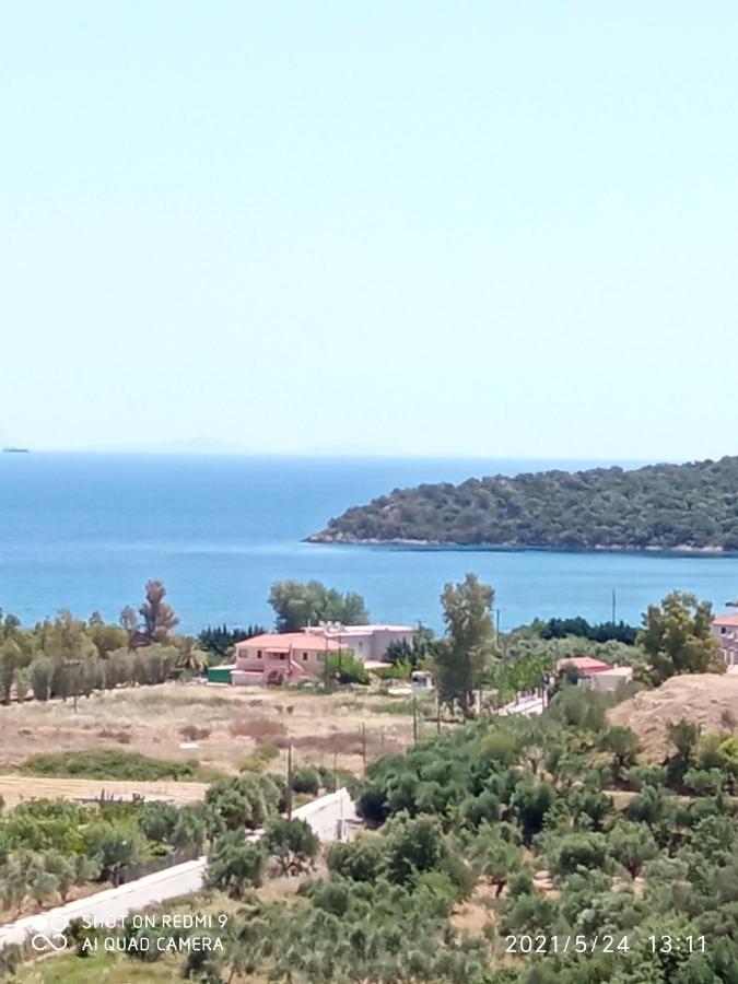ואתי Villas Guest House מראה חיצוני תמונה