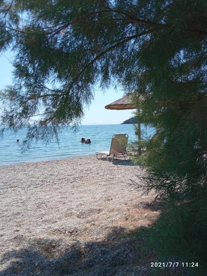 ואתי Villas Guest House מראה חיצוני תמונה