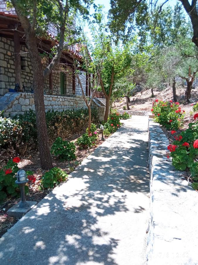 ואתי Villas Guest House מראה חיצוני תמונה
